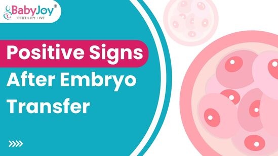 Signs Your Embryo Transfer May Have Been Successful